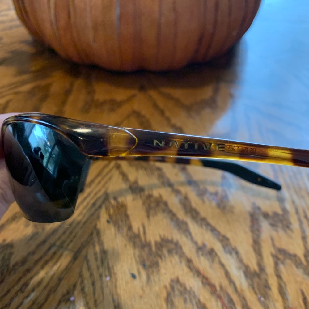Native Hardtop Sunglasses